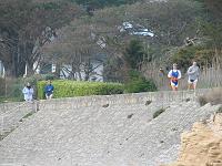 Carnac (7) 